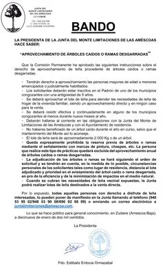 Junta del Monte de las Améscoas regula el aprovechamiento de leña de árboles caídos