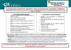 Ayudas para la inversión, mejora y digitalización del pequeño comercio en Teruel