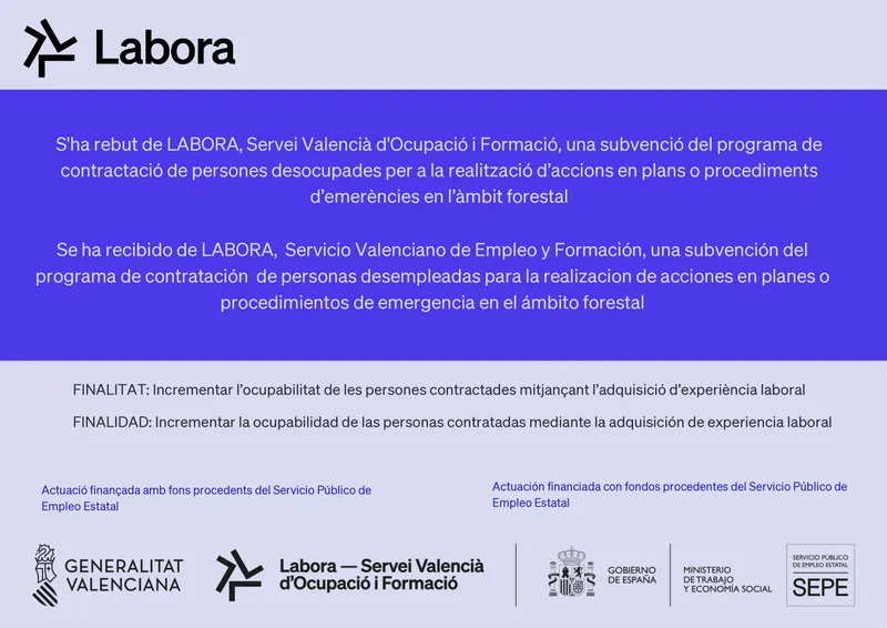Argelita refuerza la protección forestal con un nuevo programa de empleo