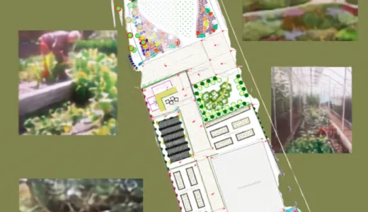 Tudela licita la creación de un jardín terapéutico en el parque Padre Baztán