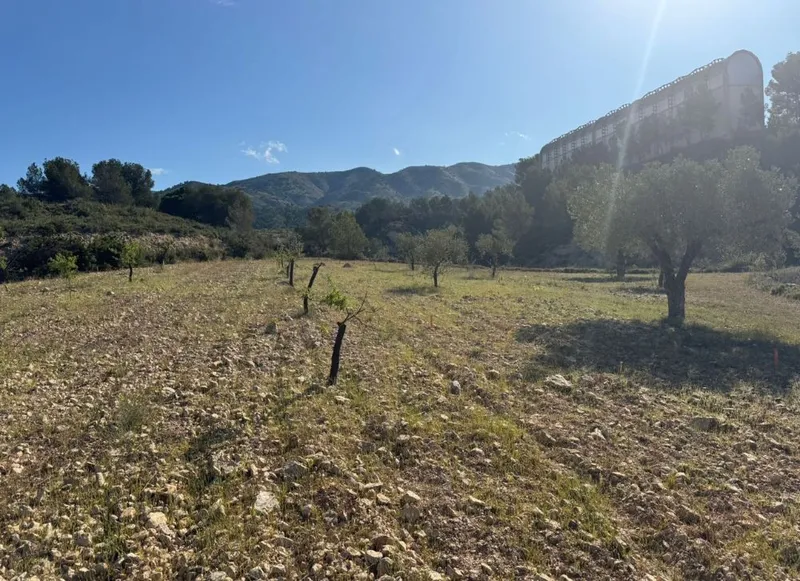 Tibi estrena un nuevo Ecoparque para mejorar la gestión de residuos