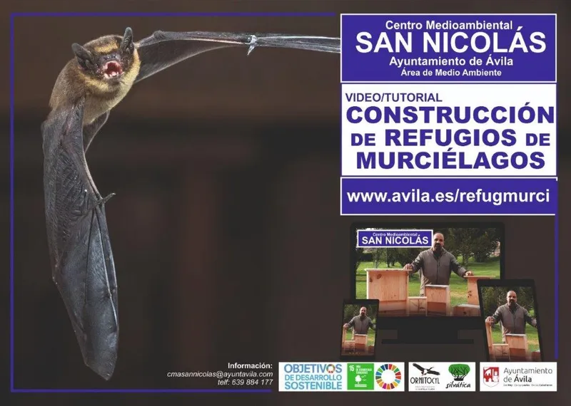 Ávila divulga la construcción de refugios para murciélagos y otros insectos