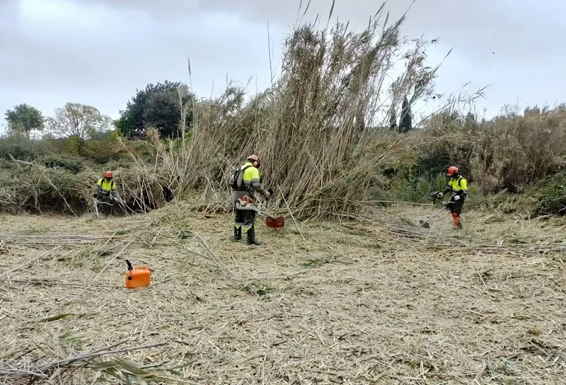 Diputación de Tarragona abre ayudas para la inserción laboral de personas con discapacidad en espacios naturales