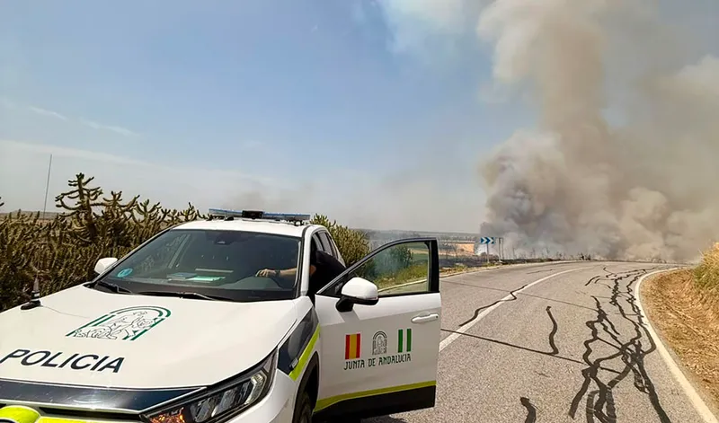 Identificados los responsables del incendio en Canillas de Aceituno que calcinó 85 hectáreas