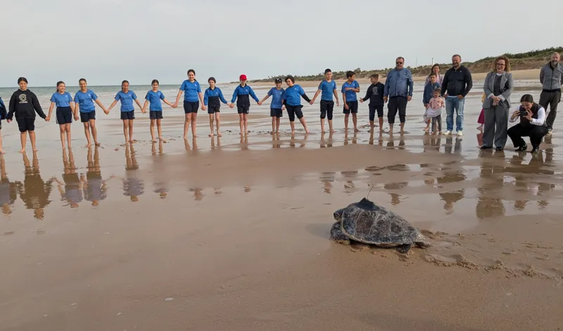 Andalucía libera 35 tortugas bobas recuperadas o nacidas en cautividad en 2026