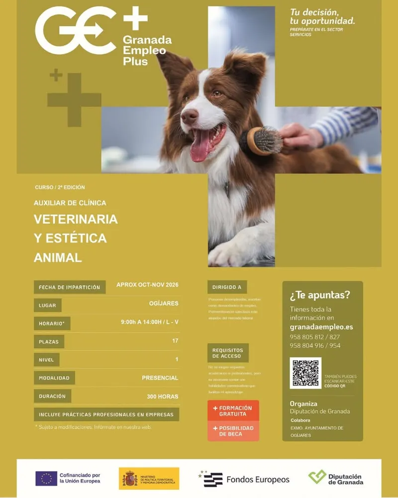 Ogíjares ofrece formación gratuita para Auxiliar de Clínica Veterinaria y Estética Animal