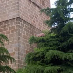 Golmayo desvela su rico patrimonio histórico y paleontológico