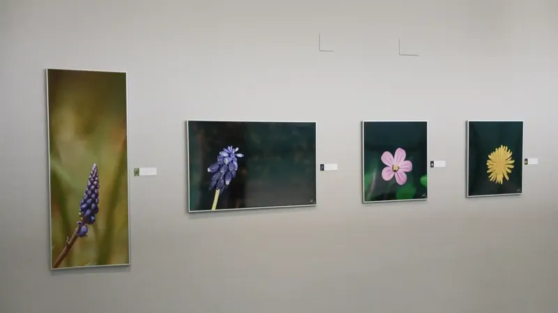 Exposición fotográfica 'MacroArte' de Tony Tirado en El Paleontològic de València
