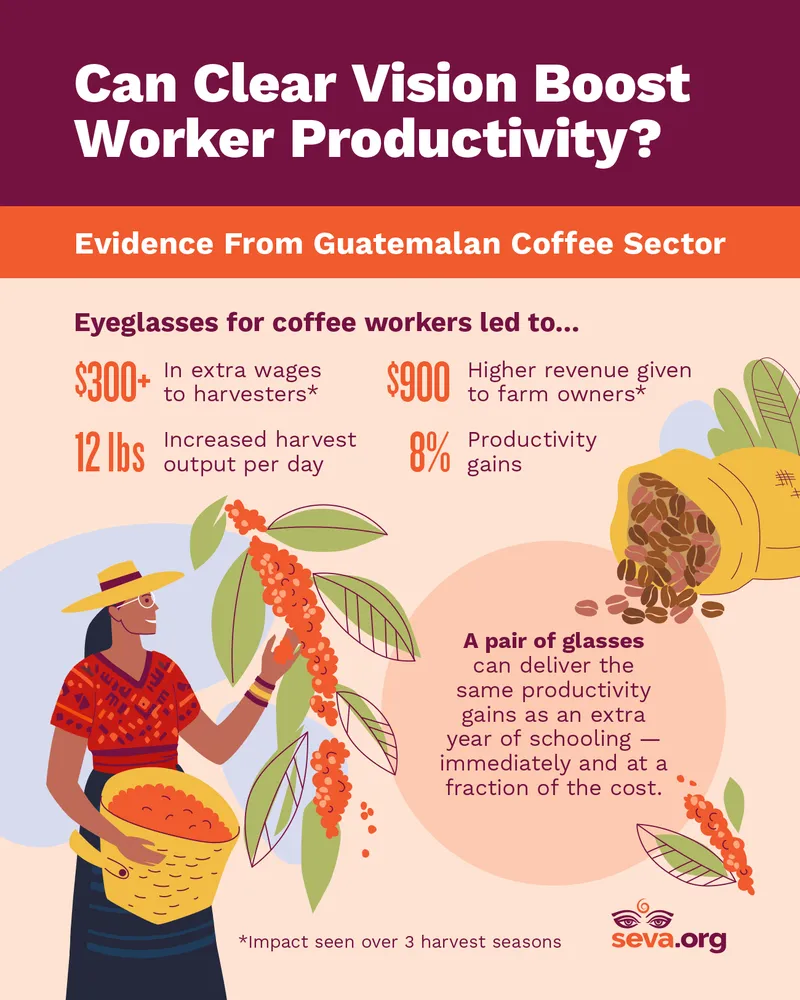 Mejorar la visión de recolectores de café en Guatemala aumenta la productividad y los ingresos