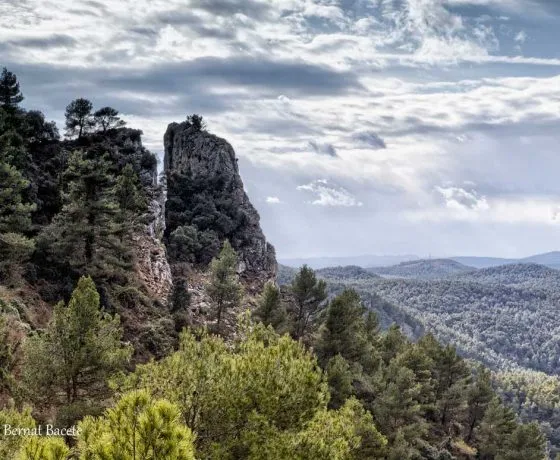 La Sierra de Mariola, un tesoro natural entre la Vall d’Albaida, el Alcoià y el Comtat
