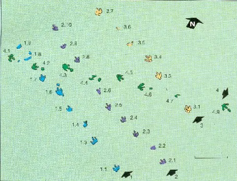 Galve desvela las huellas de dinosaurio de Las Cerradicas