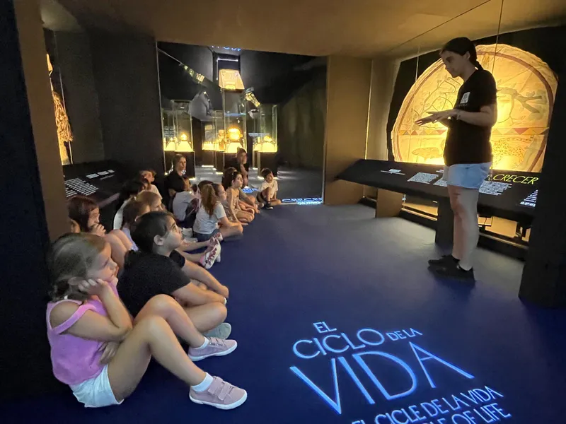 La Escuela de Verano del MARQ concluye con éxito tras dos meses de actividades para 320 niños