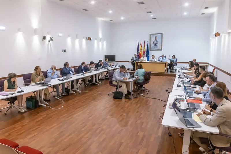 Guadalajara aprueba la modificación de la Ordenanza de Convivencia y avanza en el desarrollo urbanístico de la estación del AVE