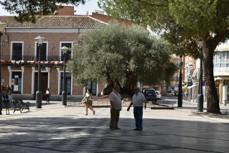 El paro en Daimiel experimenta un leve repunte en agosto hasta las 1.276 personas