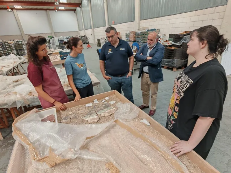 Concluye la minuciosa reconstrucción de las pinturas murales de la Casa del Larario de Bílbilis