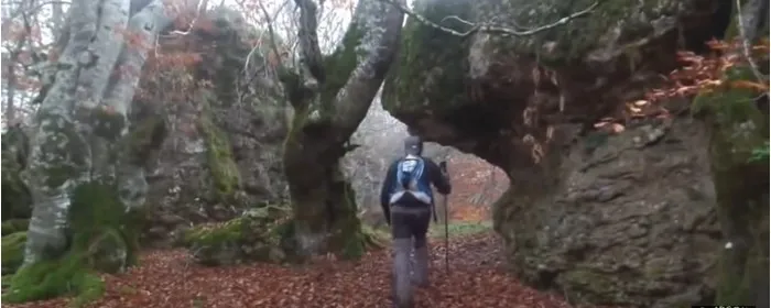 Descubriendo el Bosque de Artea y la Cueva de los Cristinos desde Larraona