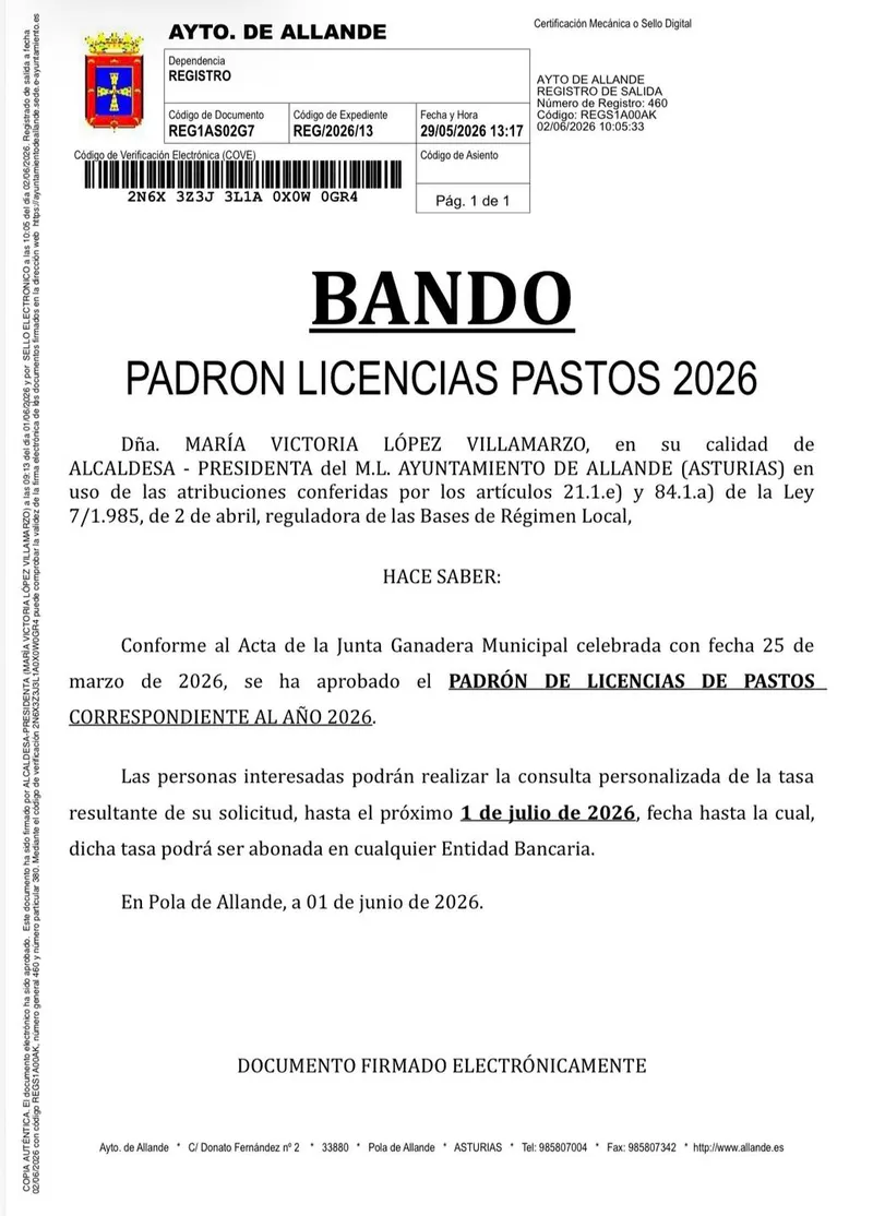 Allande aprueba el padrón de la licencia de pastos para 2026