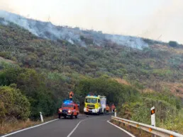Controlado el incendio forestal de Cazadores en Telde tras una noche de trabajos intensos