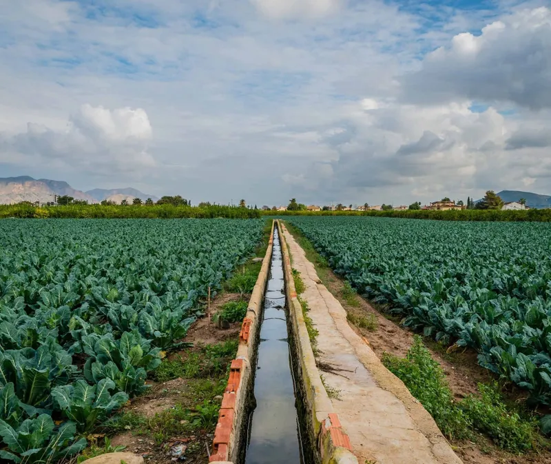 Orihuela presenta alegaciones al plan hidrológico del Segura para proteger la Vega Baja