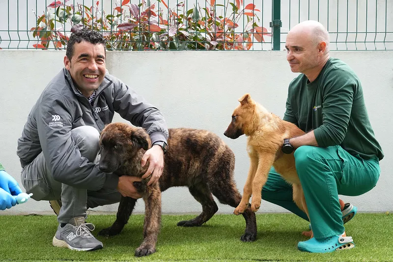 La Diputación de Pontevedra destina un millón de euros anuales al centro de animales CAAN