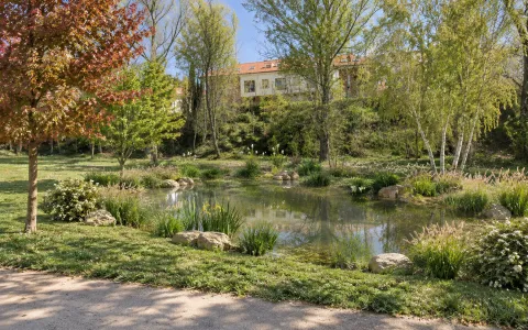 Arroyo de la Encomienda licita la segunda fase de mejora de zonas verdes con 142 nuevos árboles y un humedal