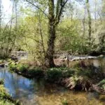 El Camiño Natural do Río Barbantiño: un recorrido de 10 km por la belleza natural de Ourense