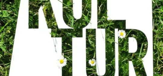 Viana se prepara para un verano y otoño repletos de cultura y tradiciones